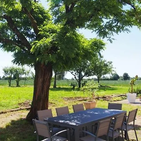 La A Jane, Familial En Pays Tarnais Coufouleux