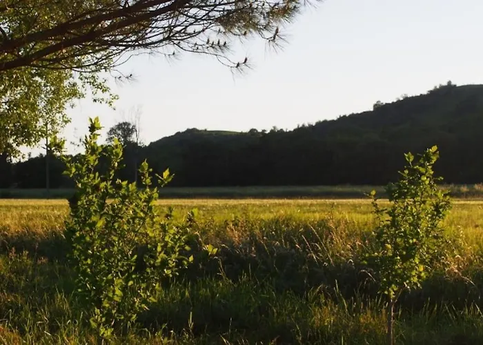 La A Jane, Familial En Pays Tarnais *