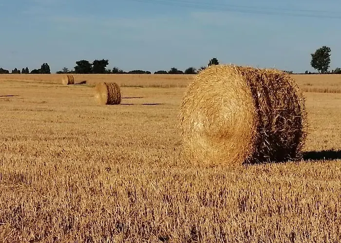 La A Jane, Familial En Pays Tarnais Holiday home *